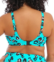 elomi swim KOTIYA sundhaldari