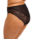 elomi TIERNIE brief - EL303350