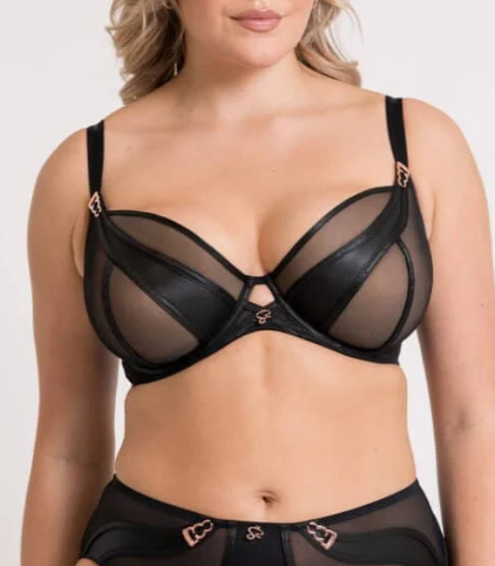 scantilly SUSPENSE haldari - ST043101