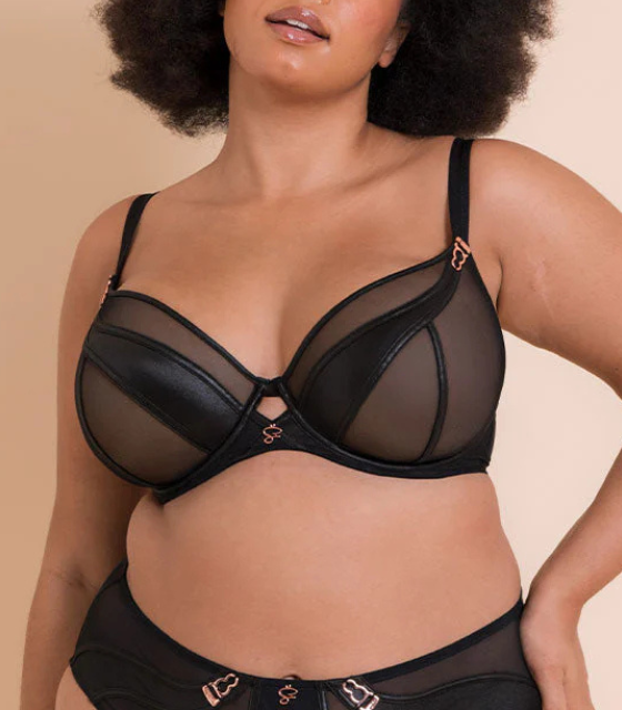 scantilly SUSPENSE haldari - ST043101